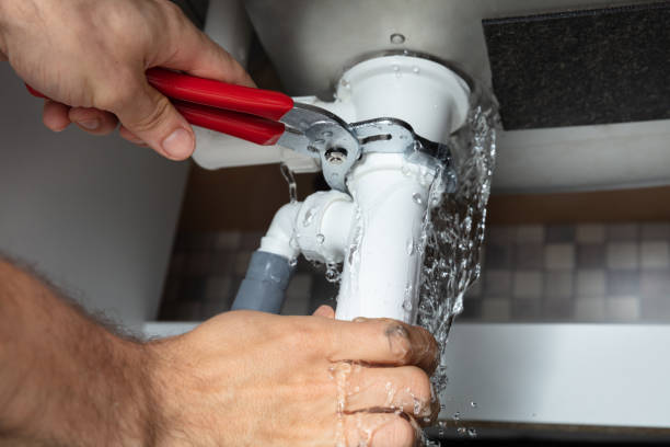 Best Mold removal after water damage  in Overton, TX