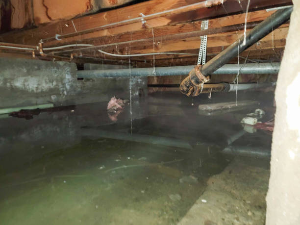 Fire Damage Restoration in Overton, TX