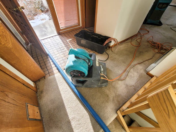 Trusted Overton, TX Water damage restoration Experts