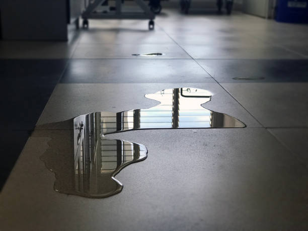 Best Water damage mitigation services  in Overton, TX