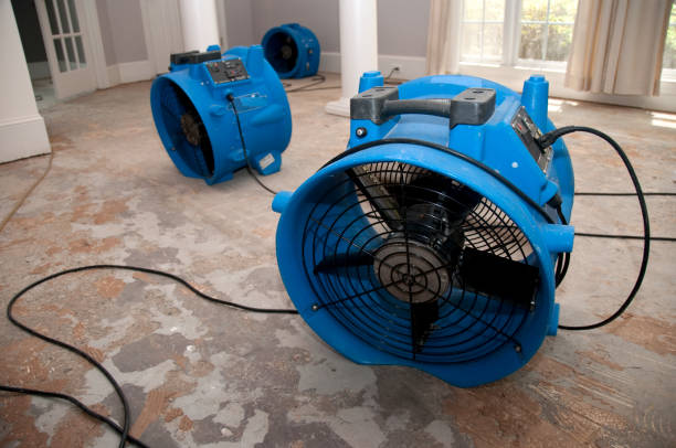 Best Water damage restoration near me  in Overton, TX